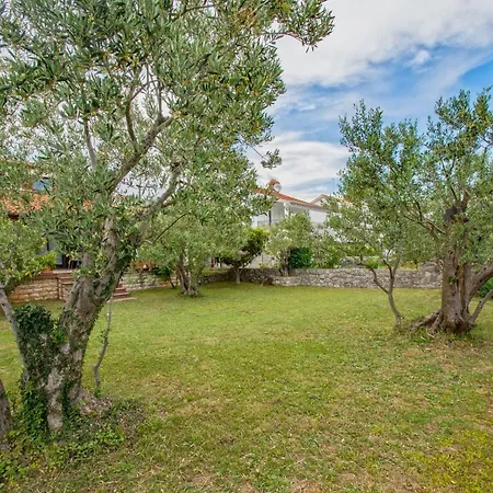 度假居 Olive Tree Mit Schwimmbad By Interhome Kornić