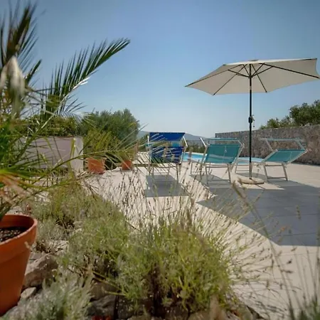 Olive Tree Mit Schwimmbad By Interhome 別荘 Kornić