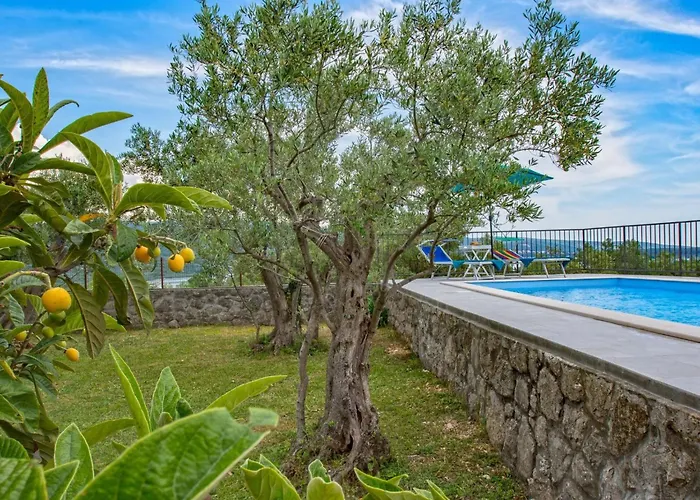 Olive Tree Mit Schwimmbad By Interhome Корнич