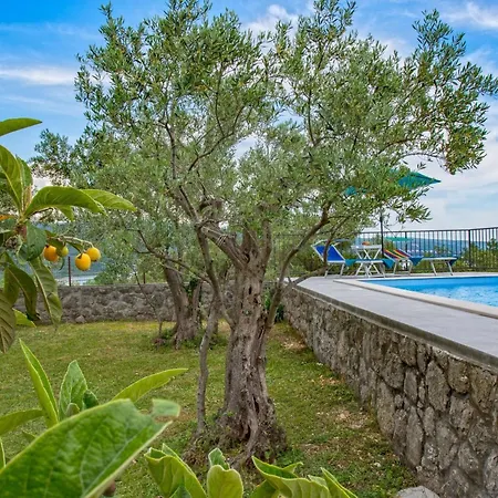 Olive Tree Mit Schwimmbad By Interhome Kornić