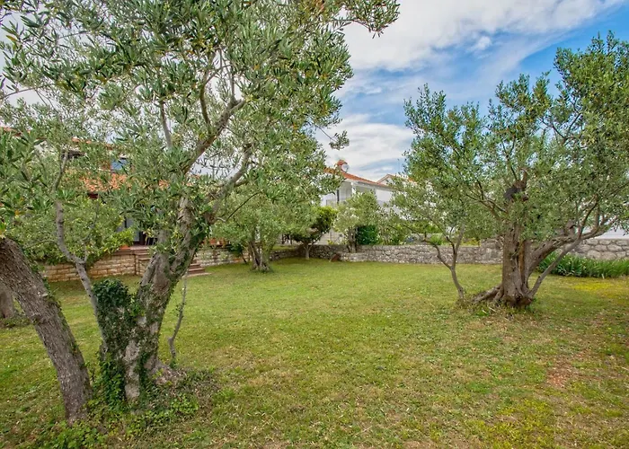 Case de vacanță Olive Tree Mit Schwimmbad By Interhome Kornić